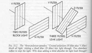 quantum reality-58.jpg